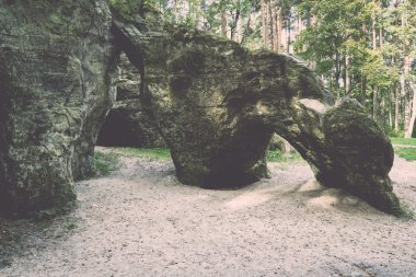Gaujas Milli Parkı, Letonya - antik kumtaşı kayalıklarla v