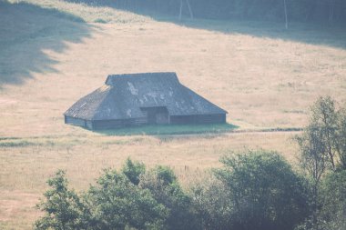 yosun ve sonbahar renkleri - vintage retr ile yeşil ormandaki ağaçlar