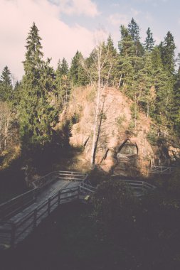 Gaujas Milli Parkı, Letonya - antik kumtaşı kayalıklarla v
