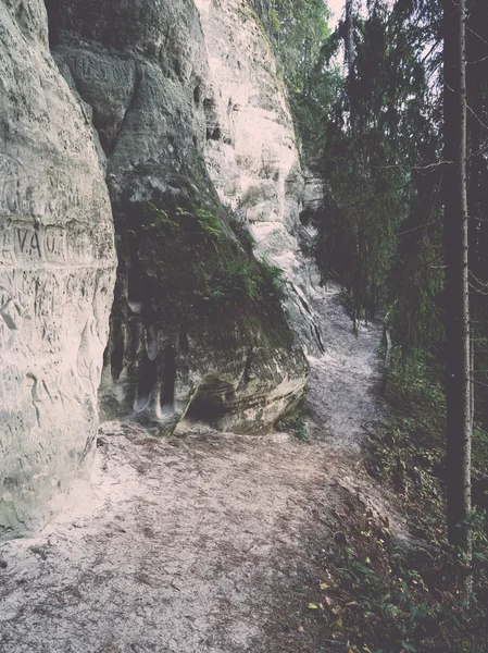 Uralte Sandsteinklippen im Nationalpark Gaujas, Lettland - v — Stockfoto