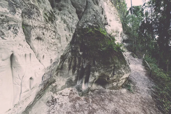 Falaises de grès antiques dans le parc national de Gaujas, Lettonie - v — Photo