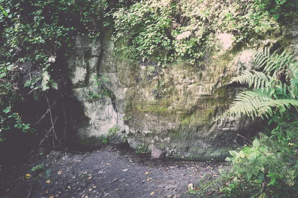 Falaises de grès antiques dans le parc national de Gaujas, Lettonie - v — Photo