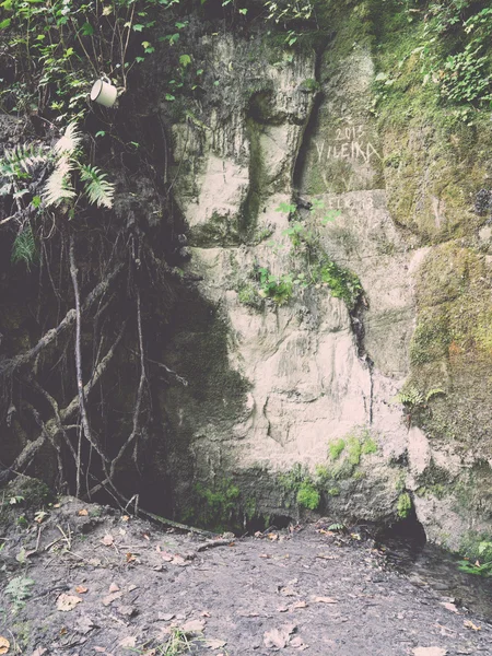 Ancient sandstone cliffs in the Gaujas National Park, Latvia - v — Stock Photo, Image