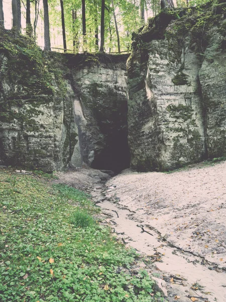 Falaises de grès antiques dans le parc national de Gaujas, Lettonie - v — Photo