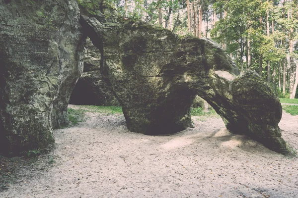 Skały piaskowcowe starożytnych w Gaujas Parku Narodowego, Łotwa - v — Zdjęcie stockowe