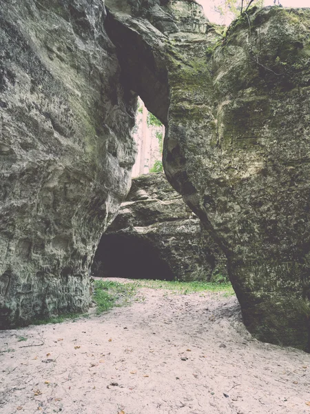 Ancient sandstone cliffs in the Gaujas National Park, Latvia - v — Stock Photo, Image