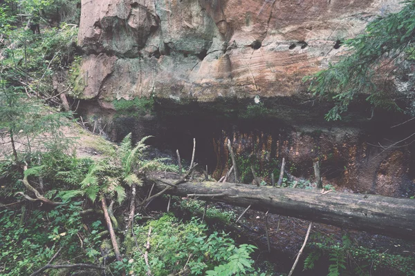 Falaises de grès antiques dans le parc national de Gaujas, Lettonie - v — Photo