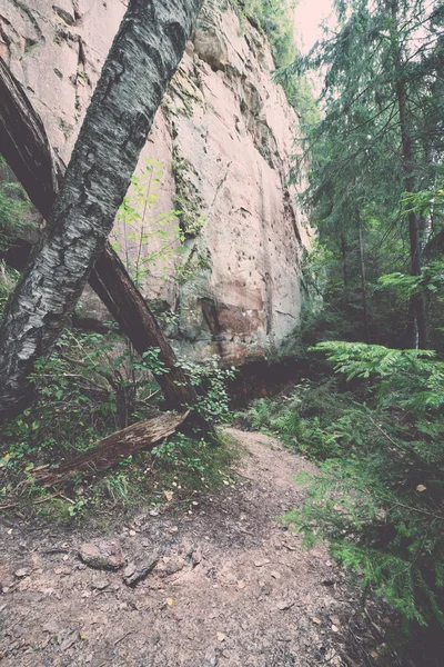 Antieke zandstenen rotsen in het Gaujas National Park, Letland - v — Stockfoto