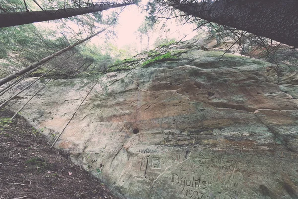 Antieke zandstenen rotsen in het Gaujas National Park, Letland - v — Stockfoto