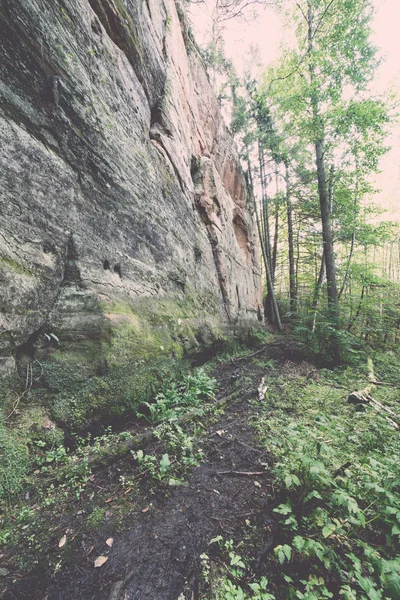 Antieke zandstenen rotsen in het Gaujas National Park, Letland - v — Stockfoto