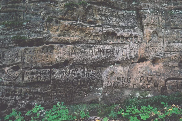 Antiguos acantilados de arenisca en el Parque Nacional Gaujas, Letonia - v — Foto de Stock