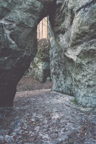 Ancient sandstone cliffs in the Gaujas National Park, Latvia - v — Stock Photo, Image