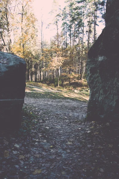 Falaises de grès antiques dans le parc national de Gaujas, Lettonie - v — Photo