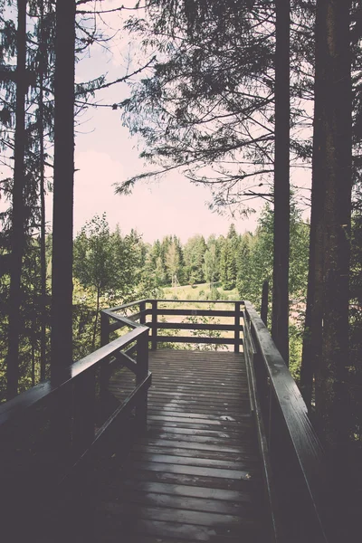 Sunny tourist track with boardwalks - vintage retro — Stock Photo, Image