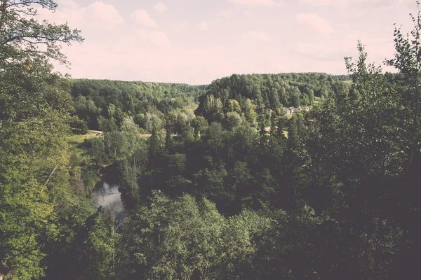 Arbres dans la forêt verte avec de la mousse et des couleurs d'automne - vintage retr — Photo