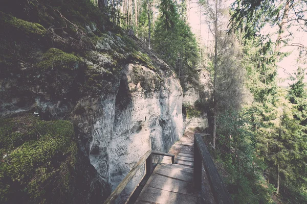 拉脱维亚 Gaujas 国家公园的古砂岩悬崖 — 图库照片