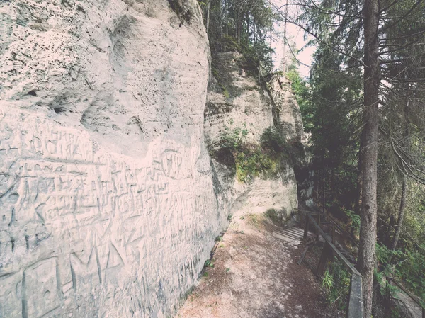 Falaises de grès antiques dans le parc national de Gaujas, Lettonie - v — Photo