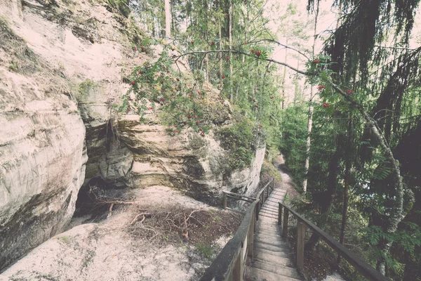 Древние скалы из песчаника в Национальном парке Гауяс, Латвия - v — стоковое фото