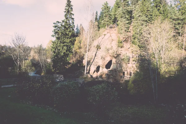 Falaises de grès antiques dans le parc national de Gaujas, Lettonie - v — Photo