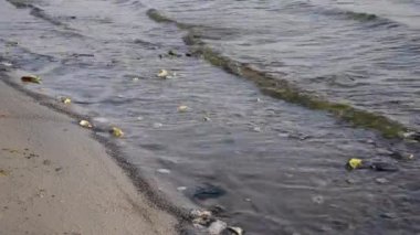 Su nehirde kayaların üzerinden akar.