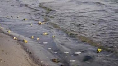 Su nehirde kayaların üzerinden akar.