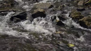 Su nehirde kayaların üzerinden akar.