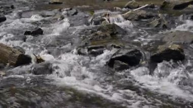Su nehirde kayaların üzerinden akar.