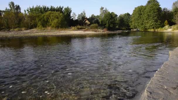 El agua fluye en el río sobre las rocas — Vídeos de Stock