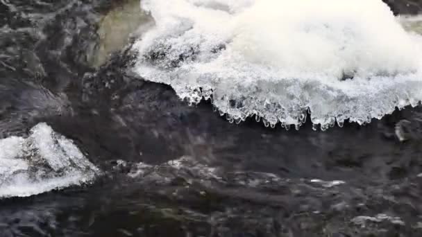 El agua fluye en el río sobre las rocas — Vídeo de stock