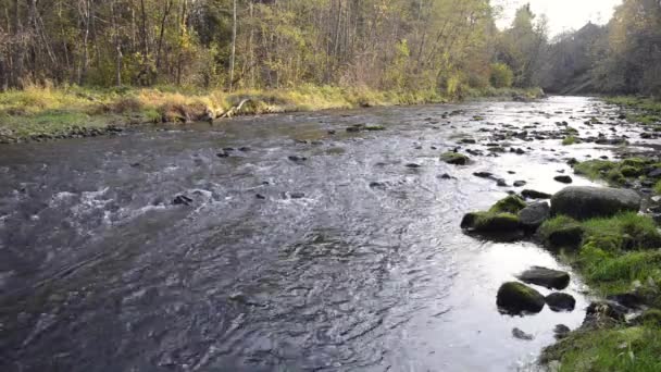 Water stroomt in de rivier over de rotsen — Stockvideo