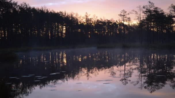 Mañana tranquila junto al lago del bosque — Vídeos de Stock