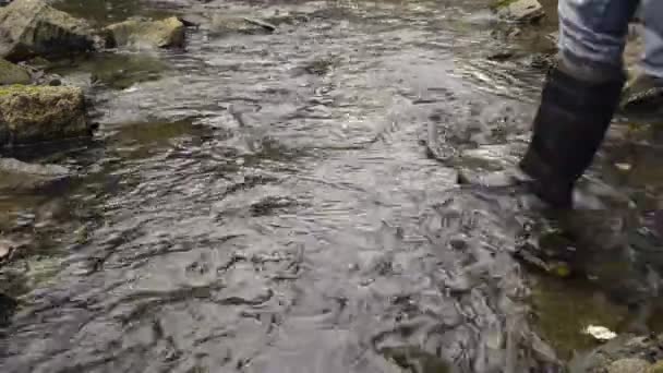 Su nehirde kayaların üzerinden akar. — Stok video