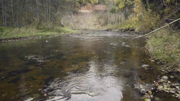 Water stroomt in de rivier over de rotsen — Stockvideo