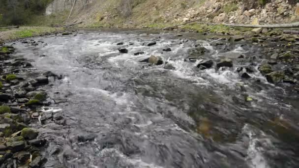 Water flows in river over the rocks — Stock Video