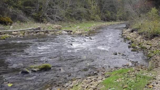 Water stroomt in de rivier over de rotsen — Stockvideo