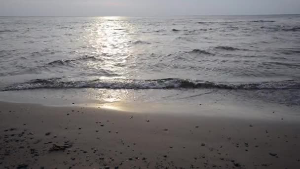 El agua fluye en el río sobre las rocas — Vídeos de Stock