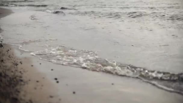 El agua fluye en el río sobre las rocas — Vídeos de Stock