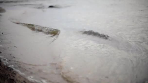 Вода течет в реке через скалы — стоковое видео