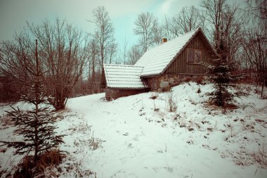 kırsal kulübesinde kırsal - retro vintage kış