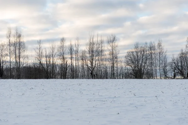 Land verschneite Straße im Winter — Stockfoto