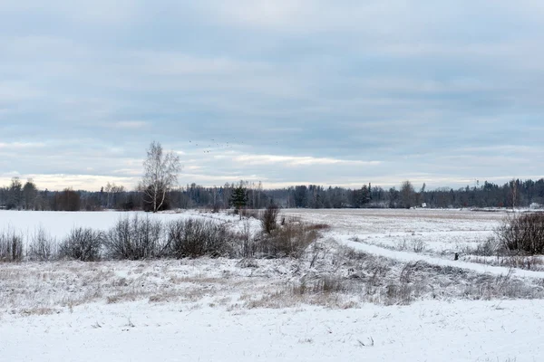 Kış ülkede karlı yol — Stok fotoğraf