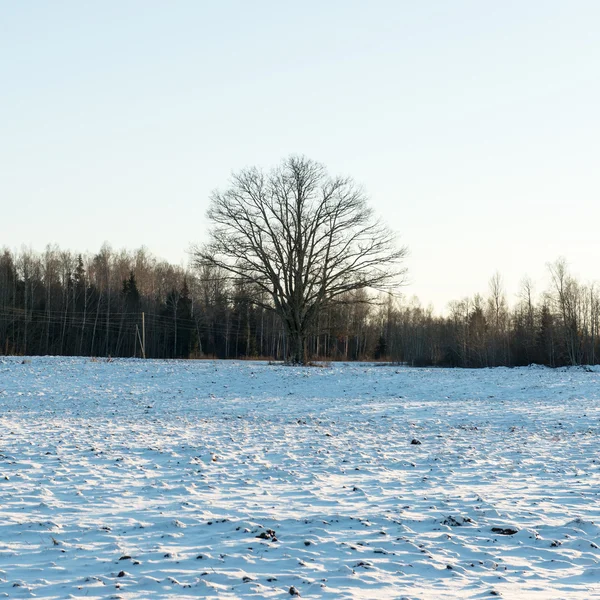 Paese strada innevata in inverno — Foto Stock