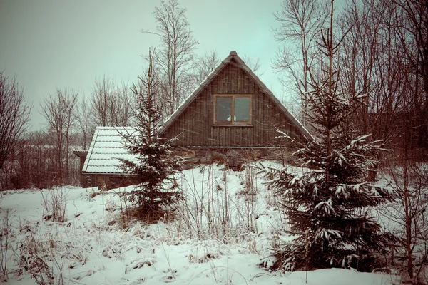 Vakantiehuizen in de winter landschap - retro vintage — Stockfoto