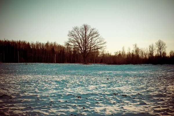 País nevado carretera en invierno - vintage retro — Foto de Stock