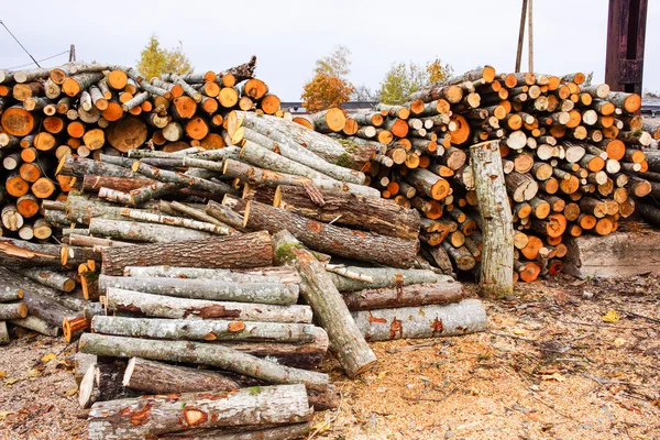 Stockage en bois de rondins — Photo