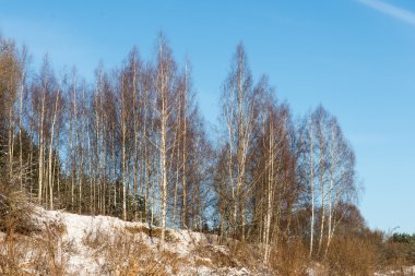 Güzel karlı kış manzarası 