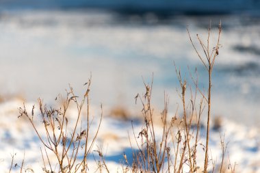güzel karlı kış manzara donmuş nehir ile