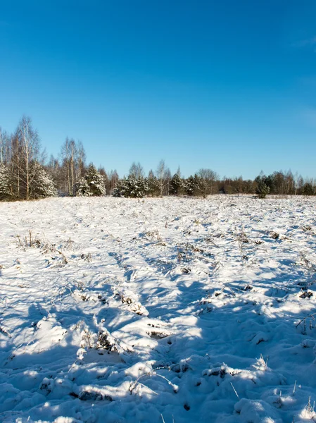 아름다운 눈덮인 겨울 풍경 — 스톡 사진