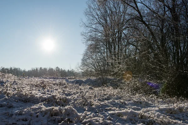 Piękny śnieżny krajobraz zimowy — Zdjęcie stockowe