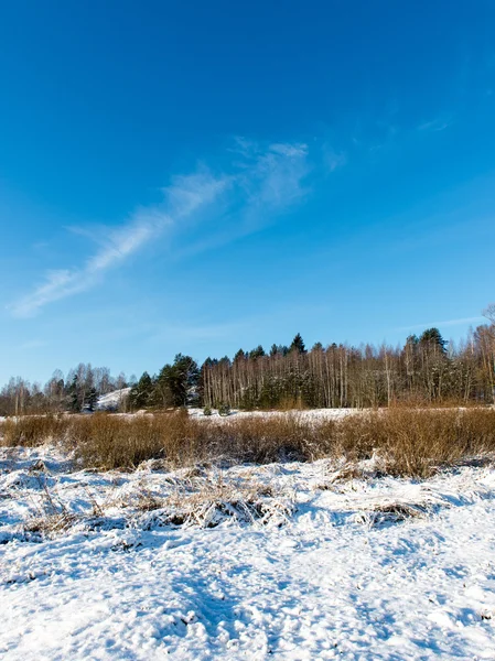 아름다운 눈덮인 겨울 풍경 — 스톡 사진